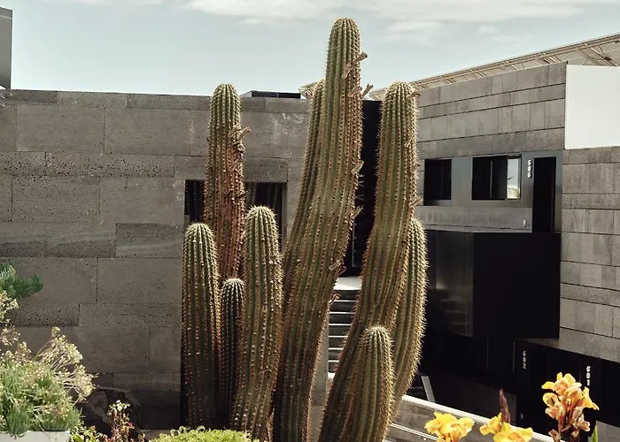 La Isla Y El Mar, Boutique (adults Only) Отель Пуэрто дель Кармен